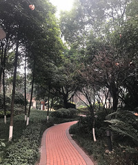 谢家湾刚需鸽子笼华润二期紫云府小区实景