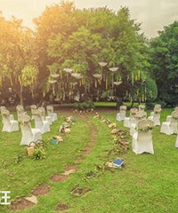 �����ƺ����������ٰ죿������԰��ƺ����ĳ����Ƽ�