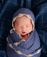 ����  ��ֵ����������