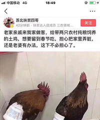 ���������͵Ļ����զ�����ģ���