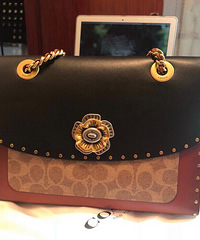 һ۾ͿCoach Parkerư