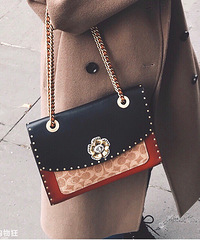 һ�۾Ϳ�����Coach Parker����������������ư�