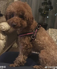 ͻȻ�����ҵĹ��ӡ�