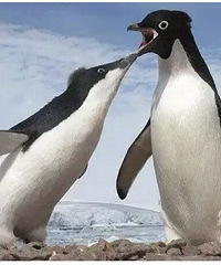 ��������˽����ҳ��������ˡ���