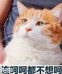 ����ġ�֪�����۾��٣��ж�