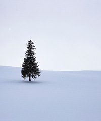 北海道,一场文艺青年的风雪朝圣+网络年会——旅游篇