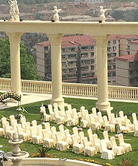 ���컧�����������죿������԰컧�����ľƵ�