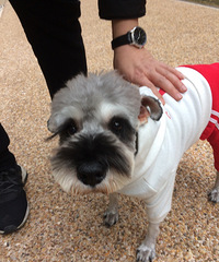 ����Ҫ����ƯƯ����