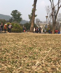 ����ɹ̫����