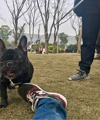 ����ɹ̫����