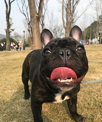 一起晒