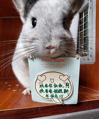 ��ף��λ�´�����