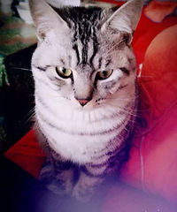 ȥ�������ʮ������