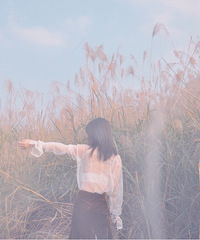 ҲдƬ«έĵطϽȥɹ̫