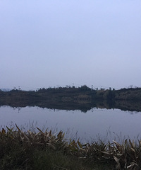清晨打卡三担湖公园