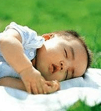 1´ıܲܳȥΣҶ˵̫С