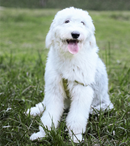 ���кö��˿Ŷ