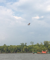 ޶ڼ¡±èץˣϽȥҽԺȮ