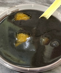 海陵岛过春节!穿春装.吃海鲜.住海景房+西部航空新春游记