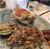这顿海鲜要3000多