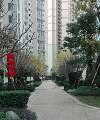 [����]�������������������ѧУָ��