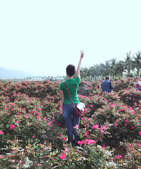 30�����Ы������С������飬����һ��3���Ů��