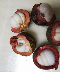 ɽļڵˣ15ɽ񶼺ʣ6ûл