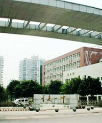 小升初上岸一中,学校里的成绩对于小升初择校来说,真的意义不大