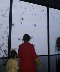 ĿѧģͶӰͷҵĺڿƼ