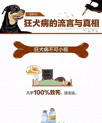 被狗舔舐两个月后,卫辉9岁男孩竟狂犬病发,不幸身亡!
