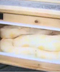 ֳ֣ܺ10ŮѹǮÿſޣ