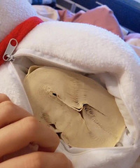 ��������������ҵ�Ц�㣬Ī���е���������ôһ����