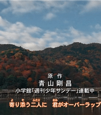跟《名侦探柯南》游京都,拜护发神社保佑我永不脱发