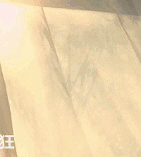 4�걻����4���Σ���ʵ�ȵ�Ӱ���