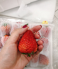 ݮˣÿݮ֤0.45ϣװ80Ԫ