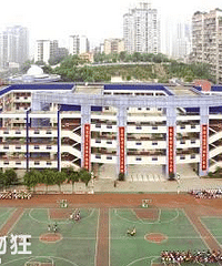 СѧѧʲôСѧѧҪЩϣ