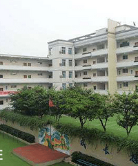 СѧѧʲôСѧѧҪЩϣ