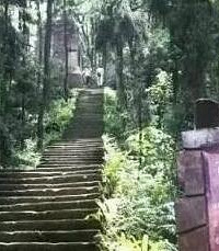盘点重庆主城16条登山步道
