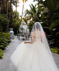 ��ʿ��İ�������̫�λ��ˣ����Ϻ���ʿ��۸�