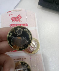 2019贺岁普通纪念币你们换了吗?猪猪设计好乖