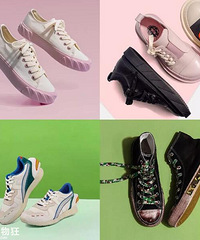 ֻ֪VANSԱЩƽ۷Ьֳʱ