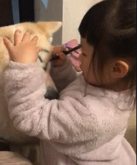 �Ҹ��㻭�꣬�������������������