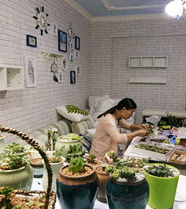 �ҵļҼ�ֱ�Ǹ�С��԰