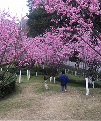 ��ҪǮ���ͻ��أ��������ܵ�