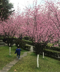 ��ҪǮ���ͻ��أ��������ܵ�