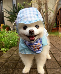 û������ǰ�ҳ����˻���