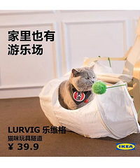 宜家出宠物家具了,各位“铲屎官”可以行动了