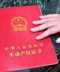 ׼ַҸβѯ׷ӻûѧָꣿ