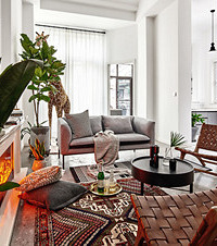 220ƽŷҶ˵Ǵ־߳ļ