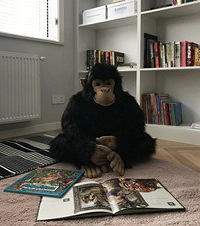 220ƽŷҶ˵Ǵ־߳ļ